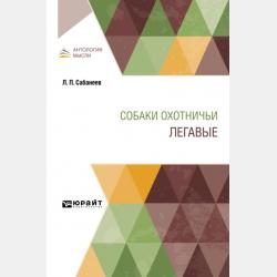 Англо-русский. Русско-английский словарь с произношением в картинках - Группа авторов - скачать бесплатно