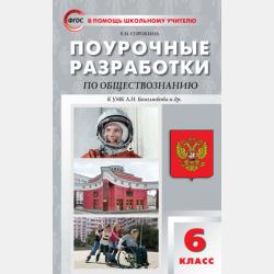 Дискуссионные вопросы изучения истории России XX века. 10–11 классы - Е. Н. Сорокина - скачать бесплатно