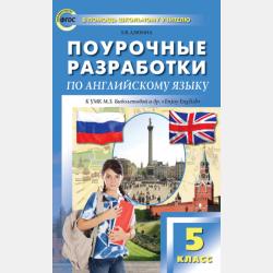 Нестандартные уроки и внеклассные мероприятия на английском языке. 10–11 классы - Е. В. Дзюина - скачать бесплатно