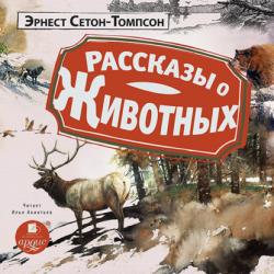 Маленькие дикари - Эрнест Сетон-Томпсон - скачать бесплатно