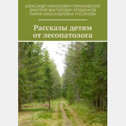 Про Хавкустен - Владимир Александрович Косарев - скачать бесплатно