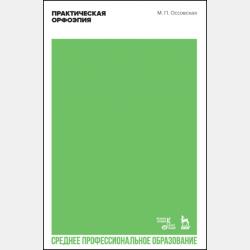 Аудит 2-е изд., пер. и доп. Учебник и практикум для СПО - Мария Александровна Штефан - скачать бесплатно