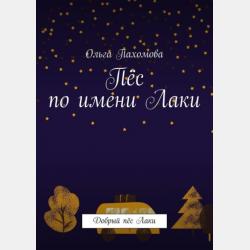 Трудовое право 3-е изд., пер. и доп. Учебник для вузов - Сергей Евгеньевич Чаннов - скачать бесплатно