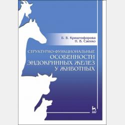 Аудиокнига Кот в сапогах (А. Бужинская) - скачать бесплатно