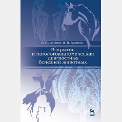  - скачать бесплатно