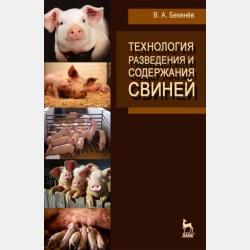 Русский язык. 7 класс. Опорные конспекты - Л. И. Строк - скачать бесплатно