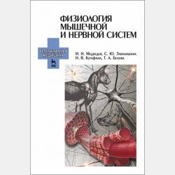 Психология управления 2-е изд., пер. и доп. Учебник и практикум для академического бакалавриата - Анатолий Тимофеевич Зуб - скачать бесплатно