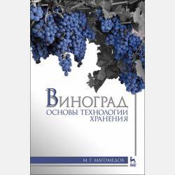 Учимся грамотно писать! - О. Н. Макеева - скачать бесплатно