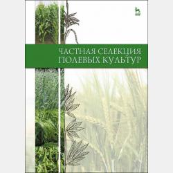 Новейший универсальный справочник школьника: 5-11 классы - Коллектив авторов - скачать бесплатно