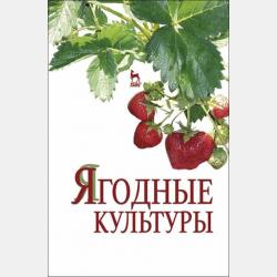 Менеджмент качества - Ю. П. Земсков - скачать бесплатно