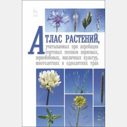 Страны мира. Энциклопедия - Коллектив авторов - скачать бесплатно