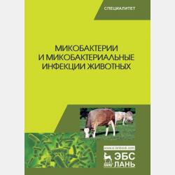 Технология работы в среде MathCad - Татьяна Дружинина - скачать бесплатно