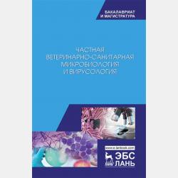 Методы оптимизации в примерах и задачах - А. В. Пантелеев - скачать бесплатно
