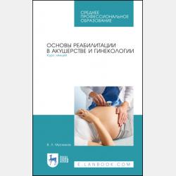 Песнь рождения, или Летящая с котами - Ика Маика - скачать бесплатно
