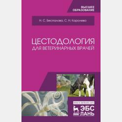 Этика государственной и муниципальной службы 3-е изд., пер. и доп. Учебник и практикум для СПО - Наталия Николаевна Шувалова - скачать бесплатно