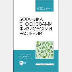 Основы социального образования 2-е изд., испр. и доп. Учебное пособие для вузов - Галина Владимировна Говорухина - скачать бесплатно
