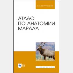ОГЭ-2023. История. Сборник заданий - В. А. Клоков - скачать бесплатно