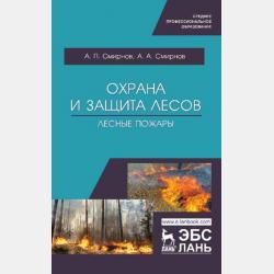 Новейший самоучитель итальянского языка - С. А. Матвеев - скачать бесплатно