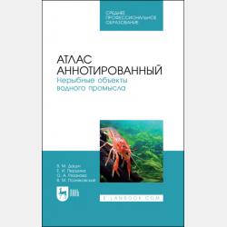 Нен-мои - Николай Гарин-Михайловский - скачать бесплатно