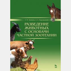 Многоотраслевые интегрированные структуры - О. Л. Лямзин - скачать бесплатно