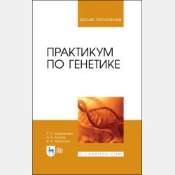Поурочные разработки по русскому языку. 8 класс (к УМК Т. А. Ладыженской – С. Г. Бархударова (М.: Просвещение)) - Н. В. Егорова - скачать бесплатно
