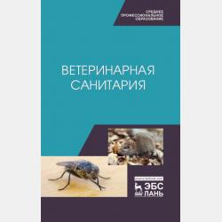 Английский язык в сфере информационных технологий. Учебно-практическое пособие - Валентина Александровна Радовель - скачать бесплатно
