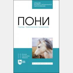 Смартфоны и планшеты Android. Визуальный самоучитель - Андрей Жвалевский - скачать бесплатно
