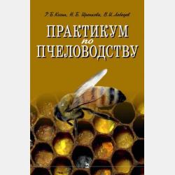 Основы региональной экономики - Коллектив авторов - скачать бесплатно