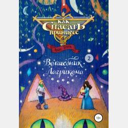 Как спасать принцесс 1. Волшебник Лагрикома. Том 1 - Алекс Траум - скачать бесплатно