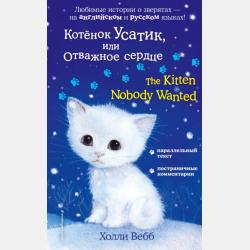 Аудиокнига Котёнок Сильвер, или Полосатый храбрец (Холли Вебб) - скачать бесплатно