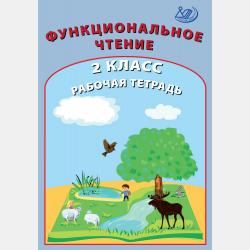 Функциональное чтение. 1 класс. Рабочая тетрадь - О. П. Клементьева - скачать бесплатно