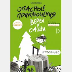 Опасные приключения Веры и Саши. Уровень: Лед - Юлия Иванова - скачать бесплатно