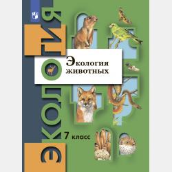 Небольшая книга о совах - В. Г. Бабенко - скачать бесплатно