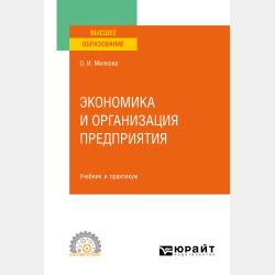 Экономика и организация предприятия. Практикум. Учебное пособие для академического бакалавриата - Ольга Ивановна Милкова - скачать бесплатно