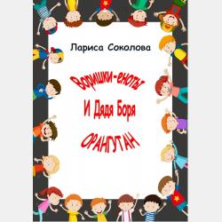 Сережкины приключения. Волшебная зима - Лариса Соколова - скачать бесплатно