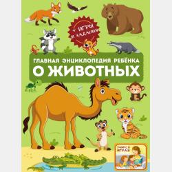 5000 Что? Зачем? Почему? в картинках, которые можно рассматривать целый год - В. В. Ликсо - скачать бесплатно