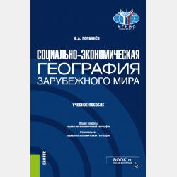 Социально-экономическая география России. (Бакалавриат, Магистратура). Учебник. - Владимир Афанасьевич Горбанев - скачать бесплатно