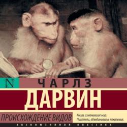 Региональные и местные налоги и сборы 2-е изд. Учебное пособие для вузов - Евгений Владимирович Мишле - скачать бесплатно