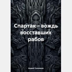 Принципы права - Андрей Тихомиров - скачать бесплатно