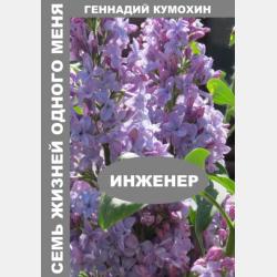 Учитель истории: творец прошлого и будущего - Инна Баринова - скачать бесплатно