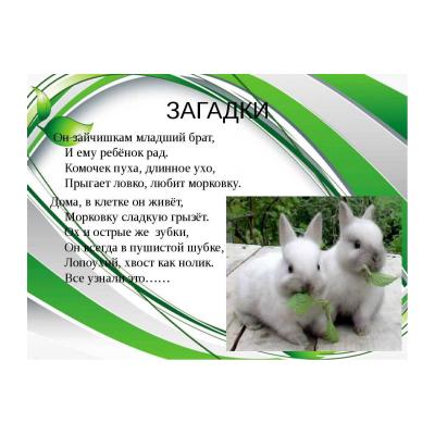 Загадки про кролика для детей - распечатать, скачать бесплатно