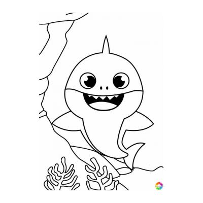 Раскраски Акуленок (Baby Shark) - распечатать, скачать бесплатно