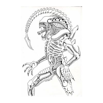 Раскраски Alien Vs Predator - распечатать, скачать бесплатно