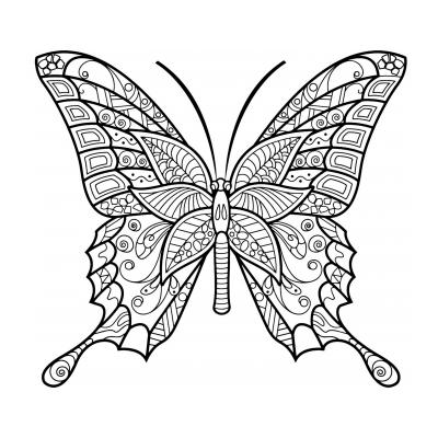Раскраски Бабочка Антистресс - распечатать, скачать бесплатно