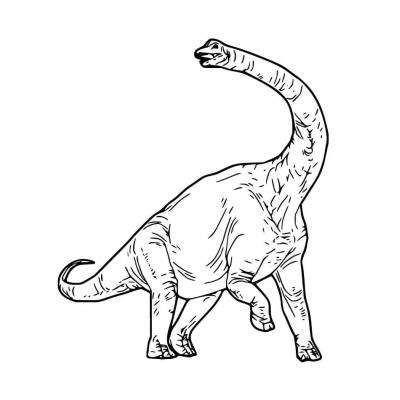 Раскраски Брахиозавр - распечатать, скачать бесплатно
