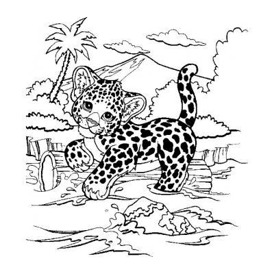 Раскрасить гепарда