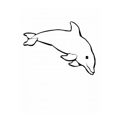 Загадки про дельфина для детей 5 - 8 лет (дошкольников и 1 - классников) - распечатать, скачать бесплатно