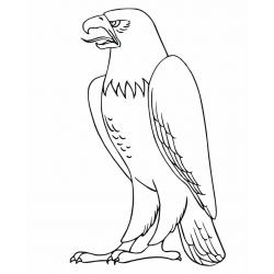 раскраска орел