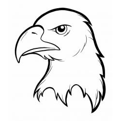  степной орел раскраска