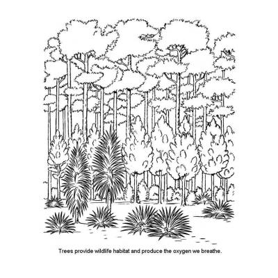  лес иллюстрация